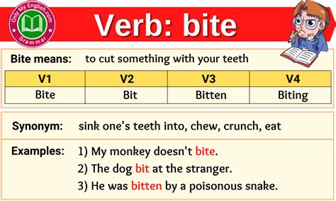 Bite Past Simple, Simple Past Tense of Bite Past Participle, V1 V2 V3 Form Of Bite Bite means: a small piece, part, or quantity of something; use the teeth to cut into something. V1 V2 V3 Form of Bite V1 V2 V3 Bite Bit Bitten Synonym Words For BITE chunk dose fragment item part snippet taste trace atom butt chip crumb dab dash …